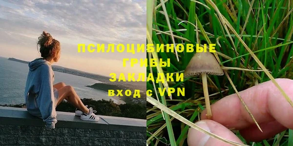 прущие крисы Магас