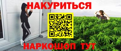 дмт Гатчина