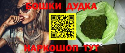 дмт Гатчина