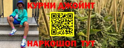 дмт Гатчина