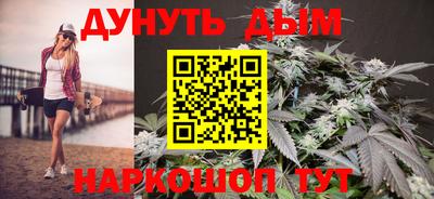 дмт Гатчина