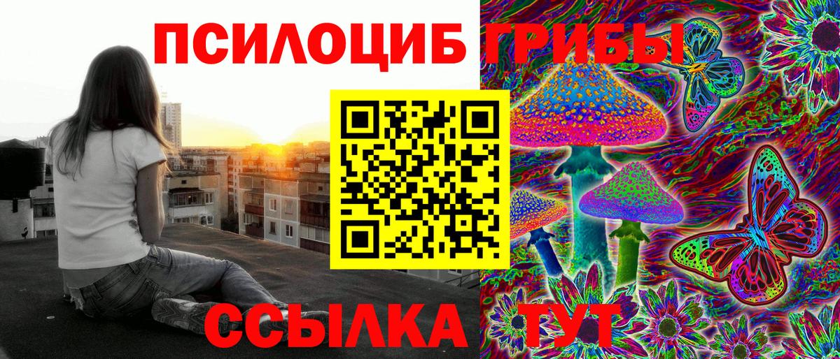 Галлюциногенные грибы прущие грибы  купить наркотики сайты  Галлюциногенные грибы мухоморы  Йошкар-Ола  Вход с VPN 