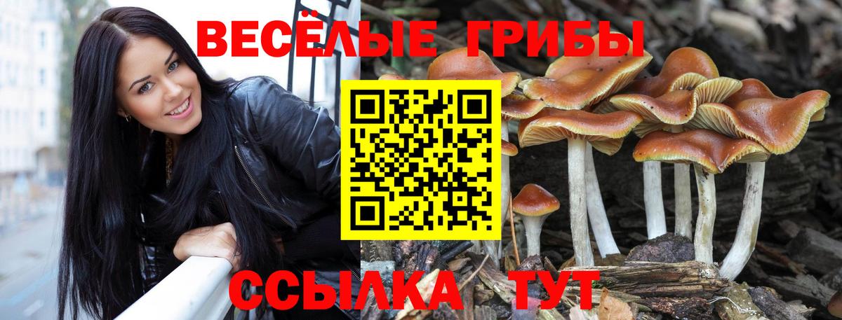 Галлюциногенные грибы MAGIC MUSHROOMS Йошкар-Ола