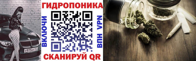 закладка  OMG рабочий сайт  Каннабис MAZAR  Йошкар-Ола 